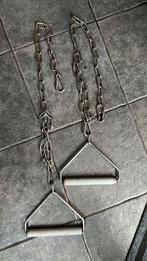 Twee papegaaien, Ophalen of Verzenden