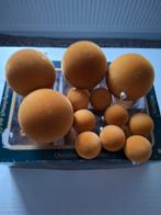 Fluwelen Kerstballen, Diversen, Kerst, Ophalen of Verzenden