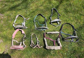 (oude) Halsters paard, Cob & Full beschikbaar voor biedingen