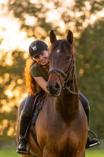 Lessen met plezier, vertrouwen en resultaat! (gediplomeerd), Paardrijles of Ponykampen