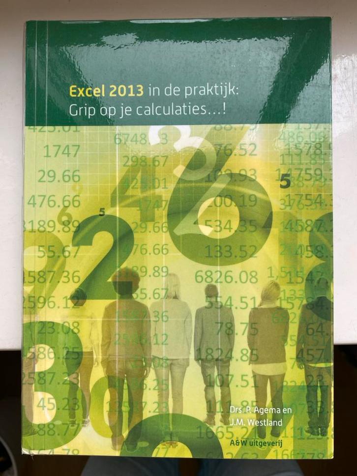 Excel 2013 in de praktijk: Grip op je calculaties...!, Boeken, Informatica en Computer, Zo goed als nieuw, Software, Ophalen