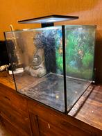 Superfish qubiq 60 pro te koop. 40x40x 50 . Compleet, Ophalen, Zo goed als nieuw, Leeg aquarium
