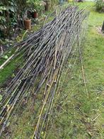 Bamboestokken, Tuin en Terras, Palen, Balken en Planken, Ophalen, Nieuw, 250 cm of meer, Overige typen