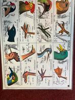 Oude Dubbelzijdige Schoolplaat - Vogels & Amfibieën, Ophalen of Verzenden, Natuur en Biologie