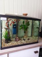 Aquarium, Ophalen, Zo goed als nieuw, Overige typen