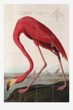 Ixxi poster flamingo 80 x120, Antiek en Kunst, Ophalen of Verzenden