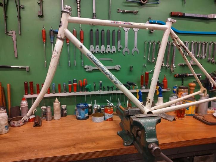 Giant Peloton 7200 sports series 49cm. C-T., Fietsen en Brommers, Fietsen | Racefietsen, Gebruikt, Dames, Giant, 10 tot 15 versnellingen