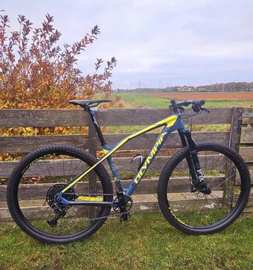 Olympia carbon 29 inch  beschikbaar voor biedingen