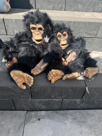 2 chimpansees beschikbaar voor biedingen