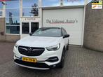 Opel GRANDLAND X 1.6 Turbo Hybrid4 Business Executive 300 PK, Automaat, 77 km/l, 4 cilinders, Wit