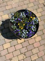 Nieuwe RVS Bloembak / Vuurschaal, Tuin en Terras, Bloembakken en Plantenbakken, Ophalen, Minder dan 30 cm, Minder dan 60 cm, Rond
