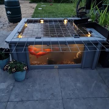 Nieuwe Solar lampjes voor op schutting of in tuin per 4 stuk beschikbaar voor biedingen