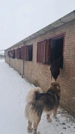 Stalling op Horperhoeve, Stalling