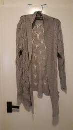 Leuk vest maat 36, Ophalen of Verzenden, Gedragen, Maat 36 (S), Grijs