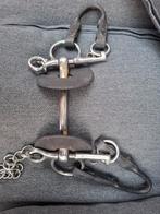 Baby pelham, Dieren en Toebehoren, Ophalen of Verzenden, Overige soorten