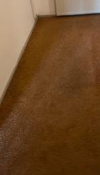 Mooi bruin tapijt, Gebruikt, Bruin, Ophalen of Verzenden, Minder dan 10 m²