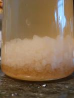 Water kefir korrels, Ophalen