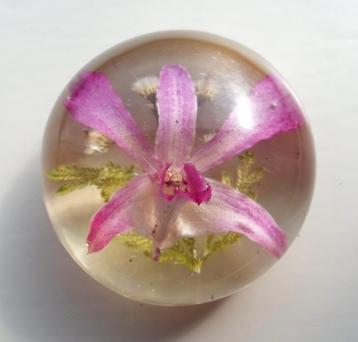 William Rolfe Paperweight met echte orchidee.  beschikbaar voor biedingen
