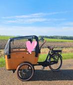 Vogue carry 3 electrische bakfiets nieuw, Fietsen en Brommers, Fietsen | Bakfietsen, Ophalen of Verzenden, Nieuw, 4 kinderen of meer