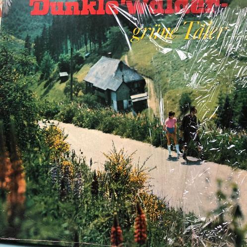 LP Tiroler Volksmuziek,Titel: Dunkle Wälder Grüne Täler, Cd's en Dvd's, Vinyl | Wereldmuziek, Gebruikt, Europees, 12 inch, Ophalen of Verzenden