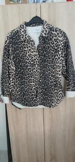Nieuwe costes leopard oversized jeans jasje mt m, Costes, Ophalen of Verzenden, Nieuw, Overige kleuren