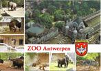 Ansichtkaart	Antwerpen (België)	Zoo Antwerpen	8-luik, Verzamelen, Ansichtkaarten | België, Gelopen, Antwerpen, Verzenden, 1980 tot heden