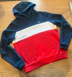 Rood, wit, blauw hoodie/ trui Lacoste maat 16/176, Ophalen of Verzenden, Zo goed als nieuw, Trui of Vest