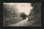 Zuidlaren Dennebosch Kinderen 1912., Verzamelen, Ansichtkaarten | Nederland, Ophalen of Verzenden, Voor 1920, Gelopen, Drenthe