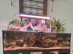 Aquarium 150x65x40, Ophalen of Verzenden, Leeg aquarium