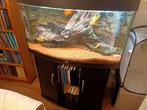 Juwel aquarium, Dieren en Toebehoren, Ophalen, Gebruikt, Gevuld zoetwateraquarium