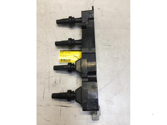 Bobine van een Peugeot 206, Auto-onderdelen, Motor en Toebehoren, Peugeot, Gebruikt, 3 maanden garantie, Ophalen of Verzenden