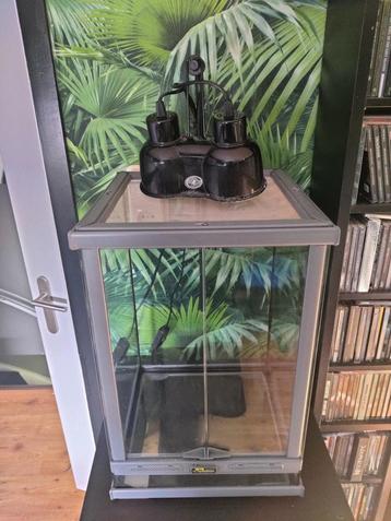 Terrarium Terratlantis 30x30x45 cm (bxdxh) beschikbaar voor biedingen