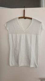 Nieuw shirt van Escada !, Ophalen of Verzenden, Nieuw, Maat 46/48 (XL) of groter, Korte mouw