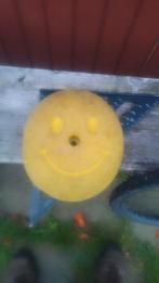 Klimmuur bolderwand, Ophalen of Verzenden, Klimsport-accessoire