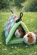 ** Handgemaakte TENT voor je cavia of dwergkonijn NIEUW, Engelberterweg 65 9723EK groningen, Www.Karinasdierenwebshop.nl, Overige typen