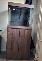 Aquatlantis Splendid combinatie, Ophalen, Zo goed als nieuw, Leeg aquarium