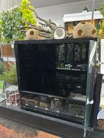 Habistat glazen terrarium 60x45x60, Ophalen, Zo goed als nieuw