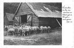 962296 Locatie onbekend Schaapskooi Schaapskudde Onbeschr, Ophalen of Verzenden, 1940 tot 1960, Ongelopen, Noord-Brabant