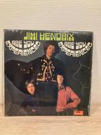 Jimi Hendrix - are you experienced? LP South-Africa very rar, Cd's en Dvd's, Vinyl | Rock, Ophalen of Verzenden, Gebruikt, 12 inch