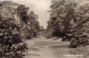 Soestduinen, Boslaan beschikbaar voor biedingen