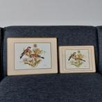 Twee platen met Putters / distelvinken, Ophalen of Verzenden, Natuur en Biologie