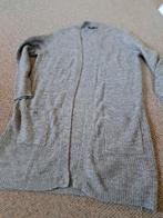 Vest licht grijs, Kleding | Dames, Truien en Vesten, Ophalen of Verzenden, Nieuw, Maat 38/40 (M), Grijs