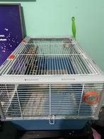 Knaagdier kooi +hangrug, Dieren en Toebehoren, Kooi, Gebruikt, Minder dan 75 cm, Muis