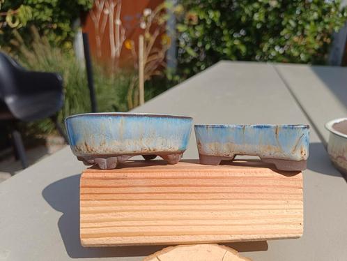 Bonsai schalen mame en shohin, Tuin en Terras, Planten | Bomen, Ophalen of Verzenden