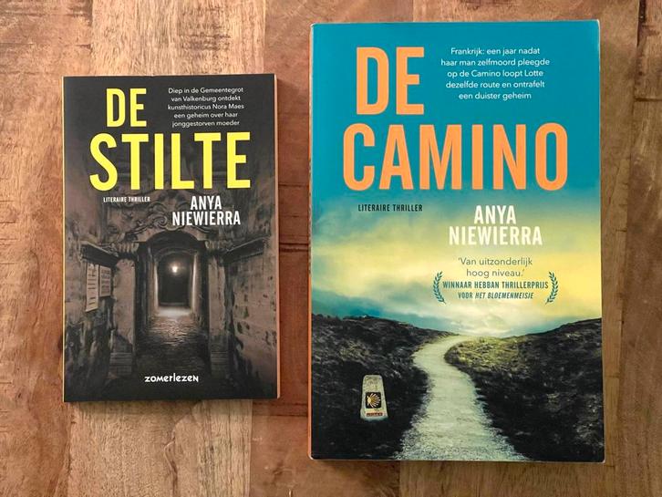 De Camino & De Stilte - Anya Niewierra, Boeken, Thrillers, Zo goed als nieuw, Nederland, Ophalen of Verzenden