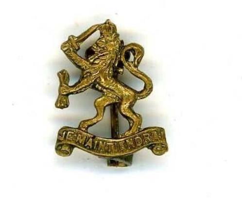 Revers embleem SPITFIRE FONDS IRENE BRIGADE WO-2 Engeland, Verzamelen, Militaria | Tweede Wereldoorlog, Landmacht, Embleem of Badge