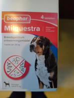 Ontwormings tabletten voor honden vanaf  Beaphar Milquestra, Dieren en Toebehoren, Ophalen of Verzenden, Nieuw