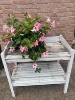 Harthouten Oppottafel tuin kast, Ophalen of Verzenden, Gebruikt