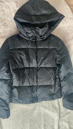 Zara Bomber Jas Gewatteerd - Nieuw met kaartje!, Kleding | Dames, Jassen | Winter, Nieuw, Ophalen of Verzenden, Maat 36 (S), Zara