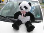 Mooie!! Panda 1.2 Edizione Cool, 111.915 Km, NL Auto!!, 1242 cc, Origineel Nederlands, Bedrijf, Handgeschakeld